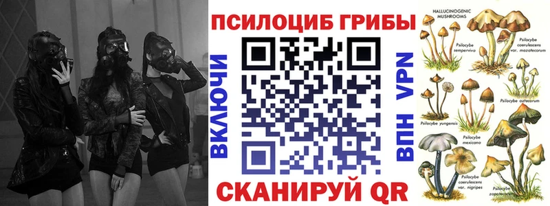 наркотики Туринск Галлюциногенные грибы мухоморы